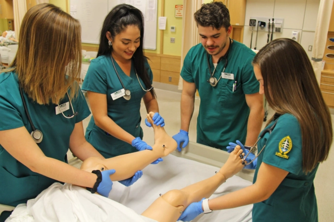 Bachelor of Science in Nursing Bachelor of Science in Nursing