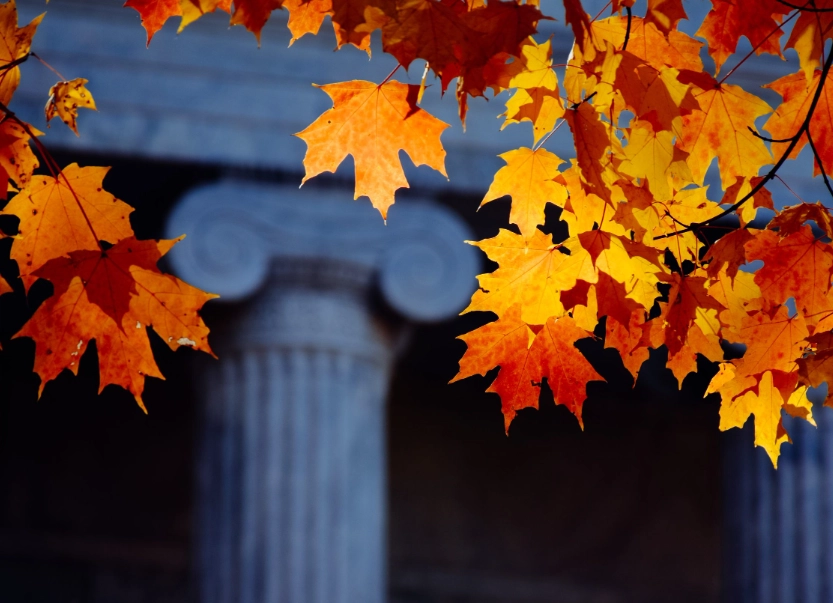 graduate school application tips