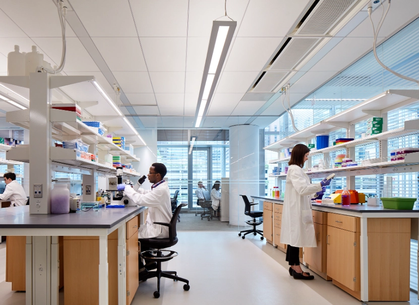 top research universities