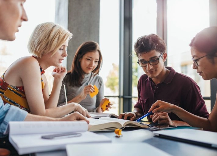 college vs university college vs university