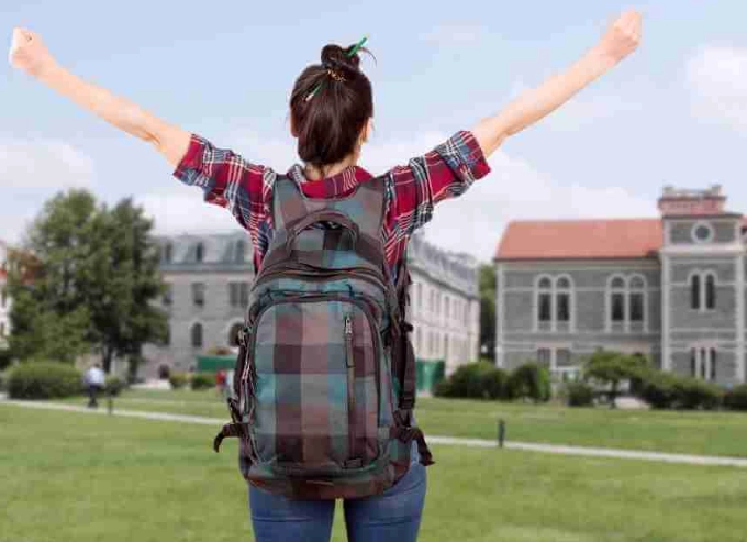 purpose of higher education