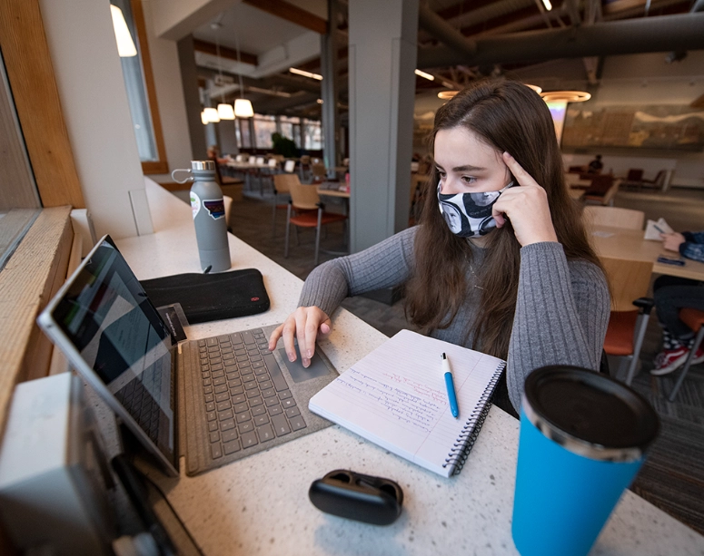 fully online masters programs