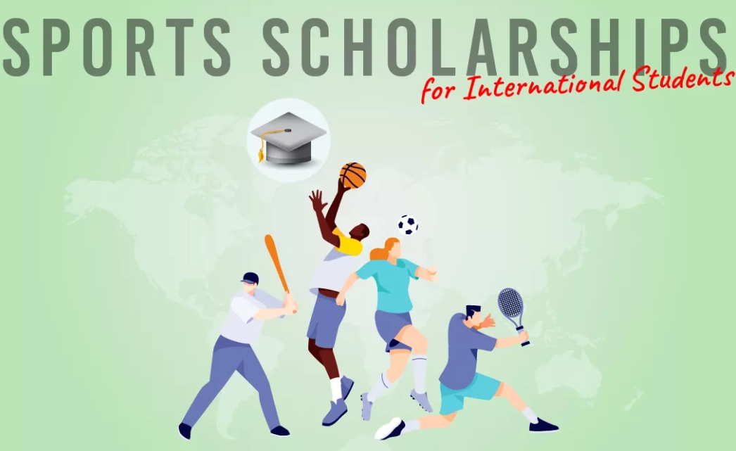 NCAA scholarships by sport