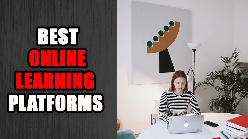 professional certification courses